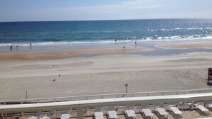 A beach with a clear view of the ocean, a sandy shore, and a few people walking. - Dog Days of Summer on the Beach! August/Fall Dates Open
Cyndi 386-361-5882 (Daytona Beach Shores)