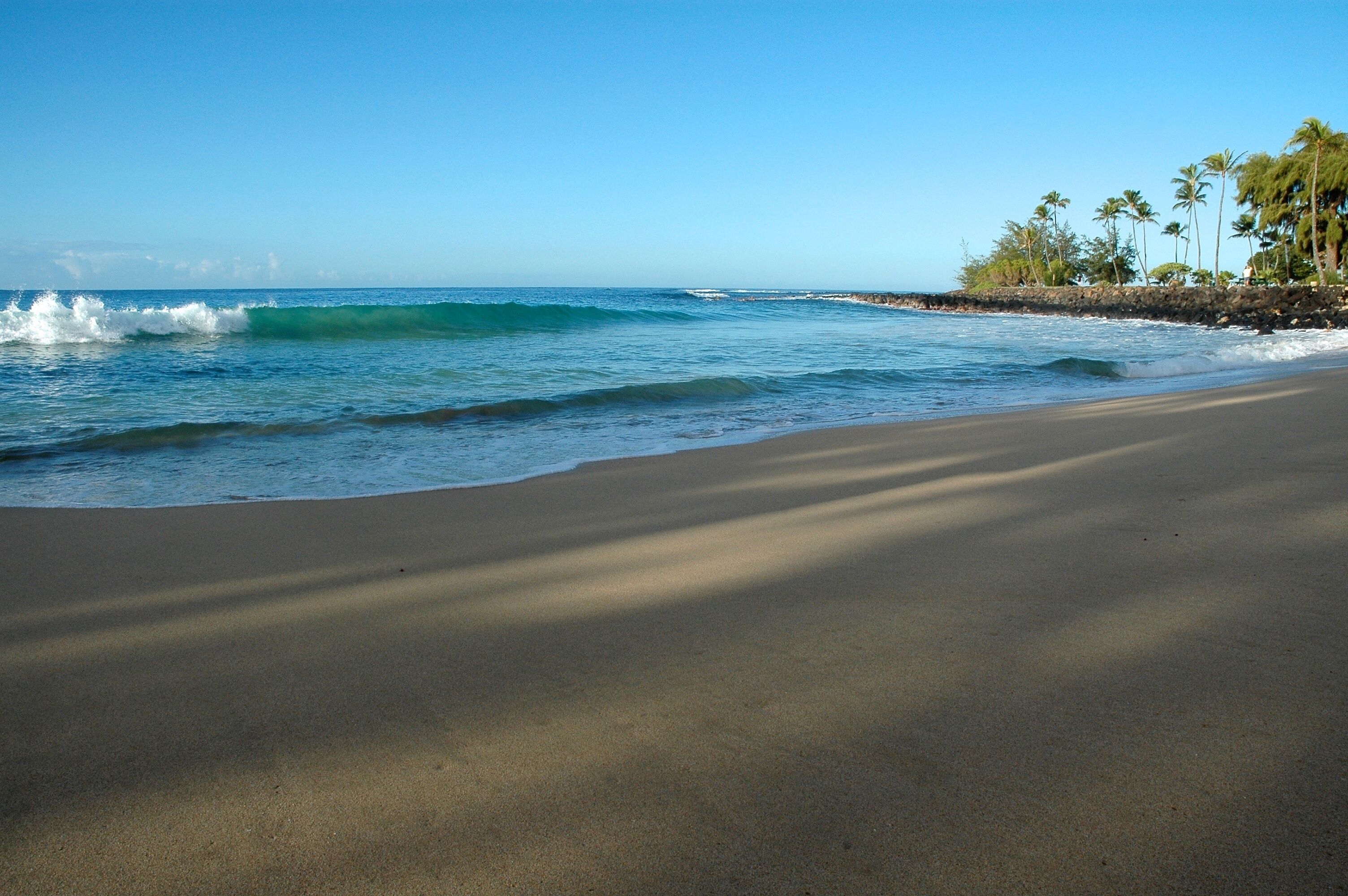 10 Best PetFriendly Rentals In Kauai, Hawaii Updated 2024 Trip101