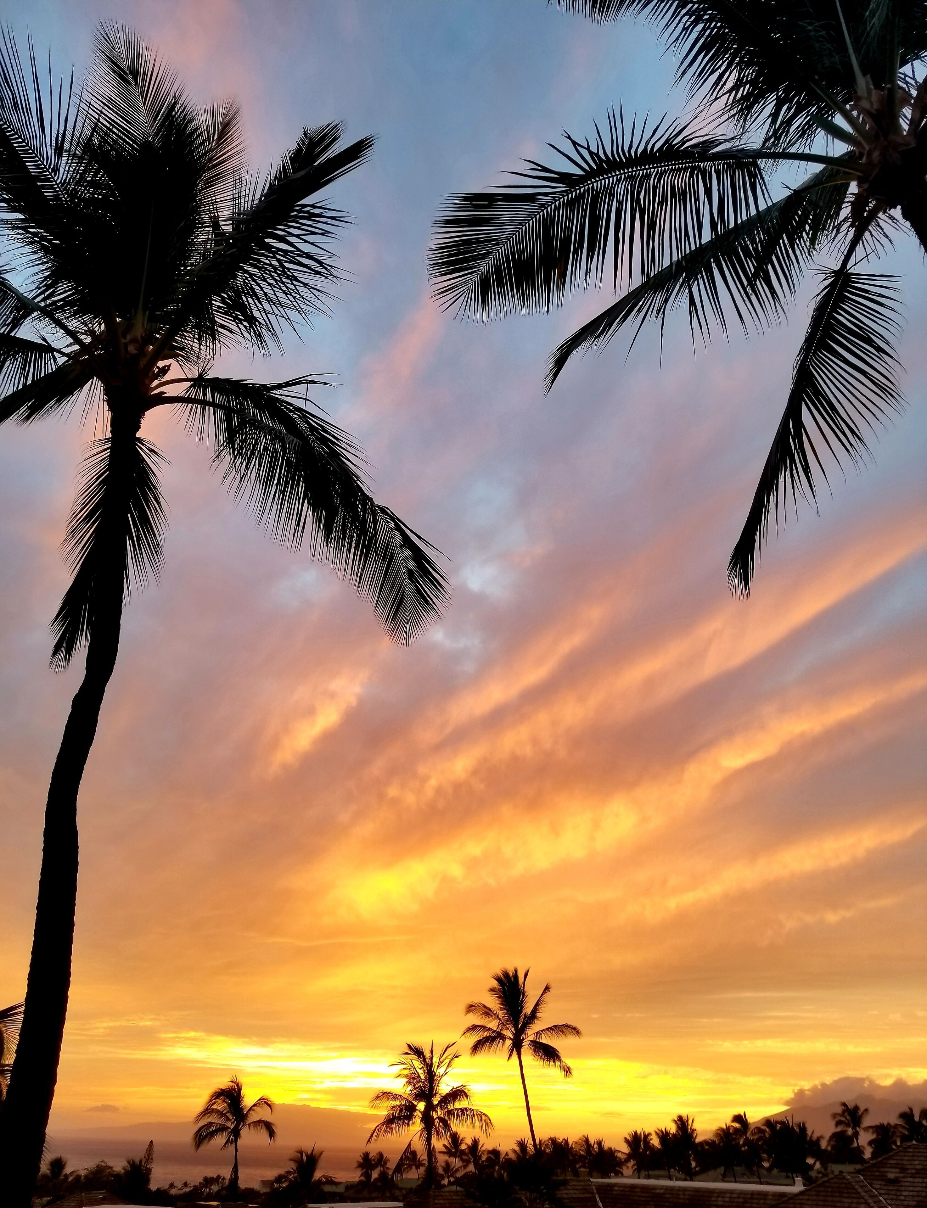 Beach nearby, sun loungers, beach towels