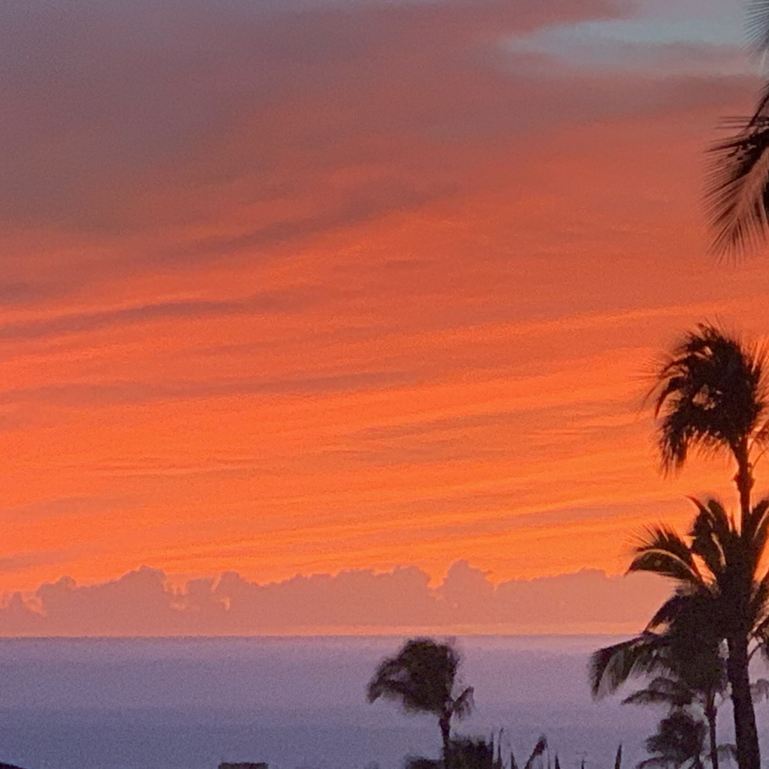Beach nearby, sun loungers, beach towels