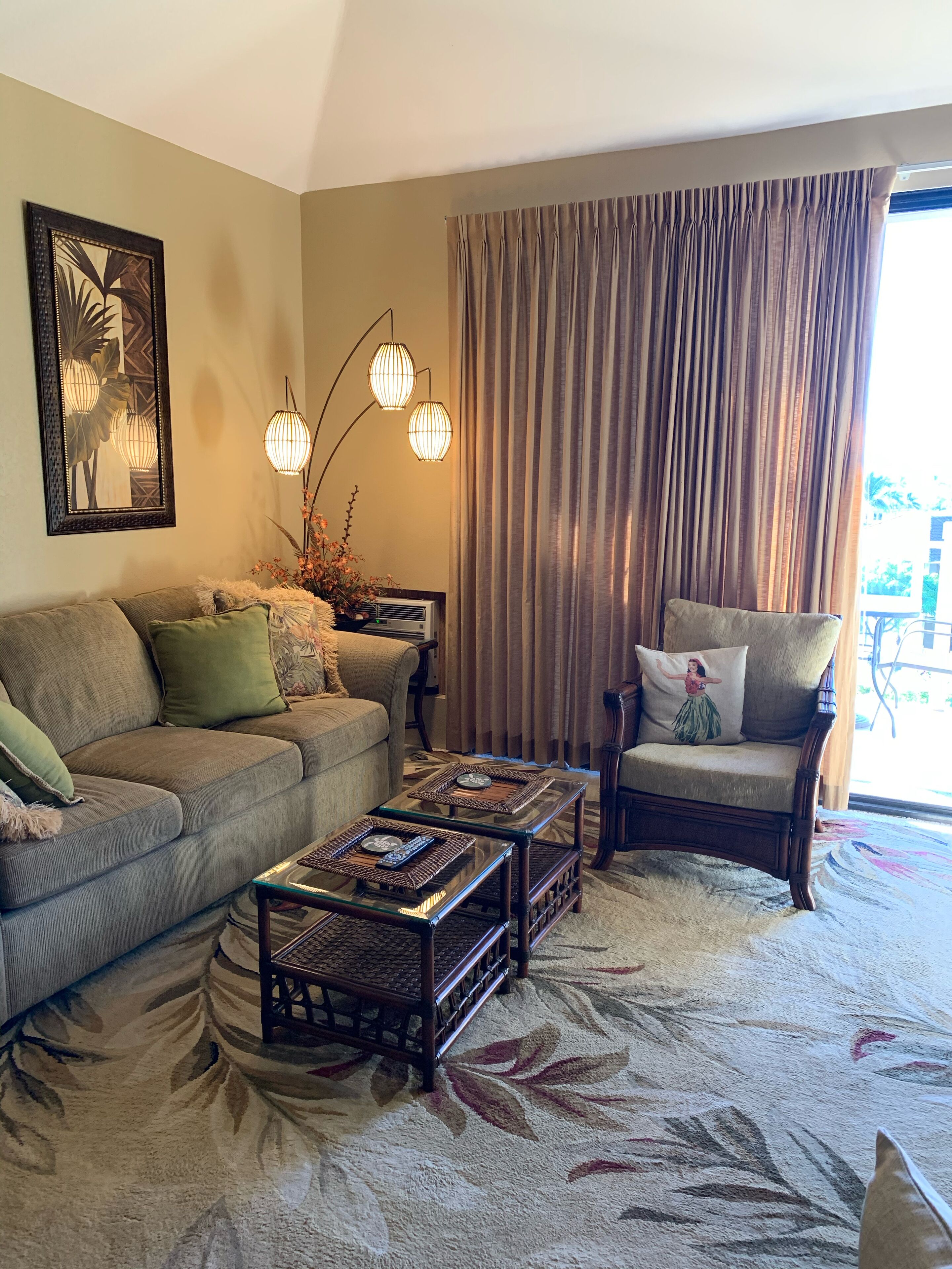 Smart TV, DVD player, books, video library