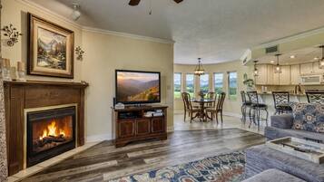 Flat-screen TV, fireplace, DVD player, video library