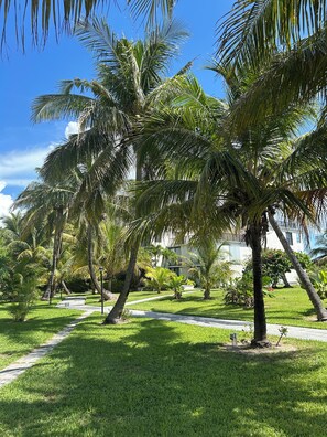 Terrein van de accommodatie