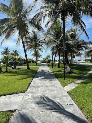 Property grounds