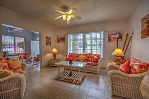 Smart TV, DVD player, books, video library