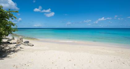 Graceville is just across the road from the beach.  Easy access to shops.