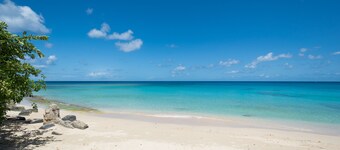 Graceville is just across the road from the beach.  Easy access to shops.