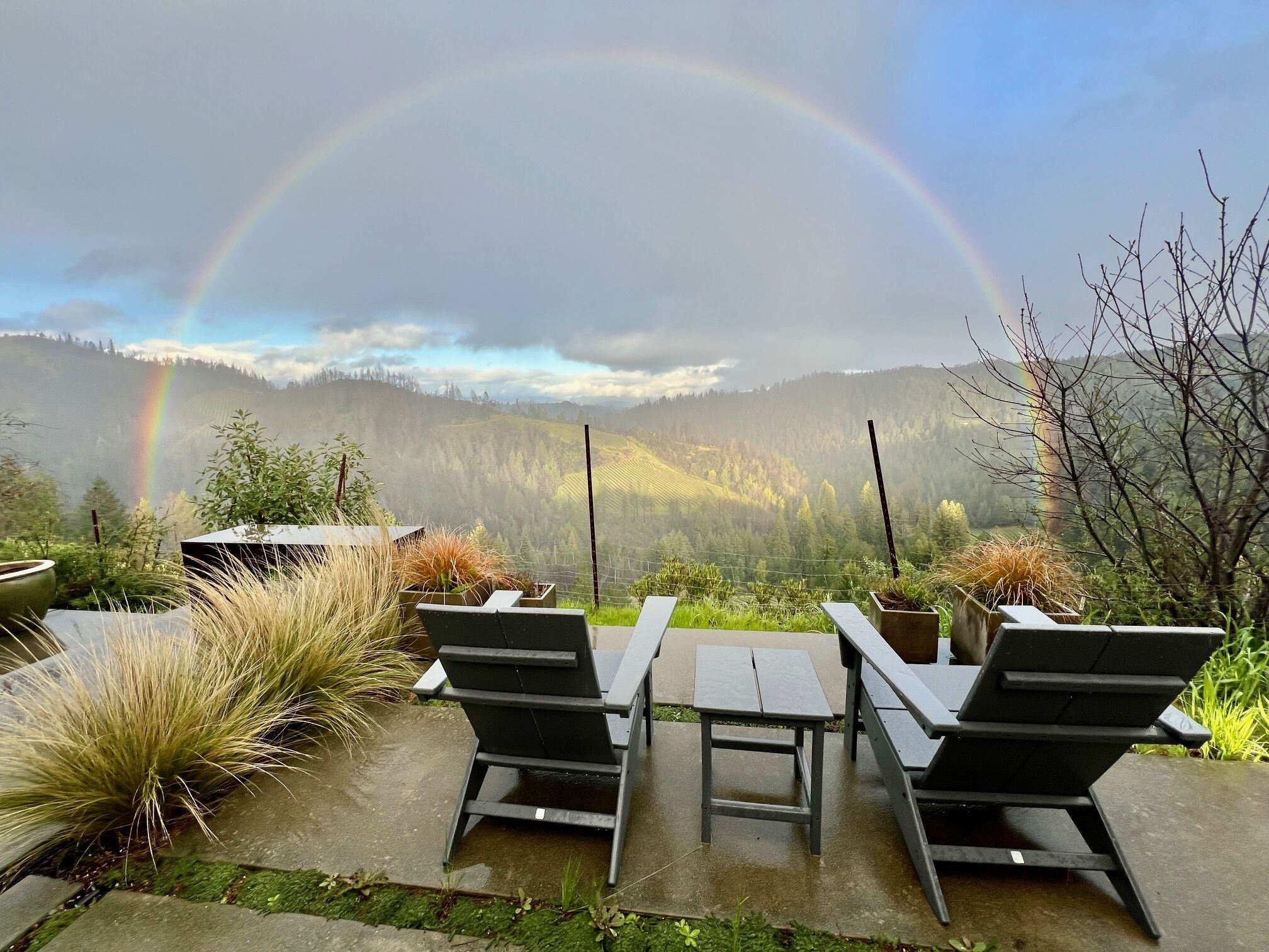 Mountaintop Respite Overlooking Vineyards: Pool & Spa  -  2-4 Guests