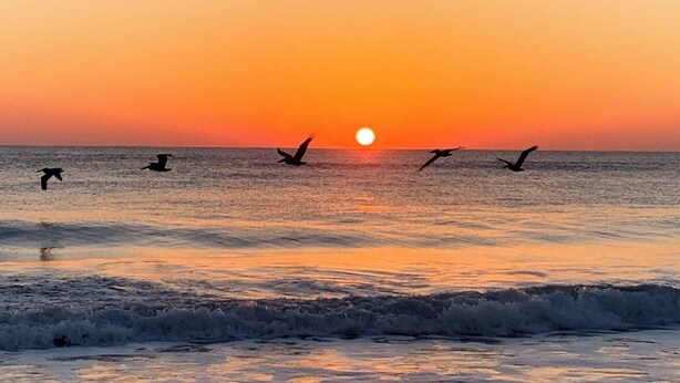 A sunset over the ocean with birds flying. - Relax at the Island Escape in Downtown Melbourne, minutes from beautiful beaches (Melbourne)