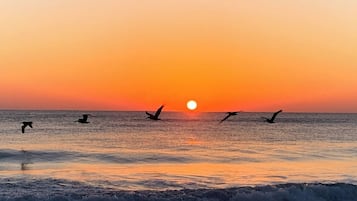 Sun-loungers, beach towels