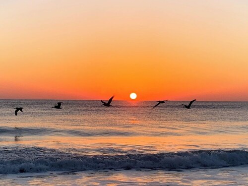 Relax at the Island Escape in Downtown Melbourne, minutes from beautiful beaches