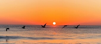 Relax at the Island Escape in Downtown Melbourne, minutes from beautiful beaches