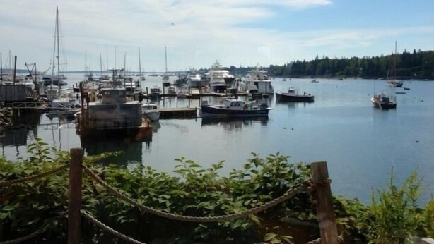 Un port de plaisance où sont amarrés différents types de bateaux, entouré de verdure et sous un ciel dégagé.
