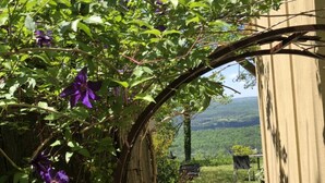 A wooden archway with a view of a green landscape and a clear sky.