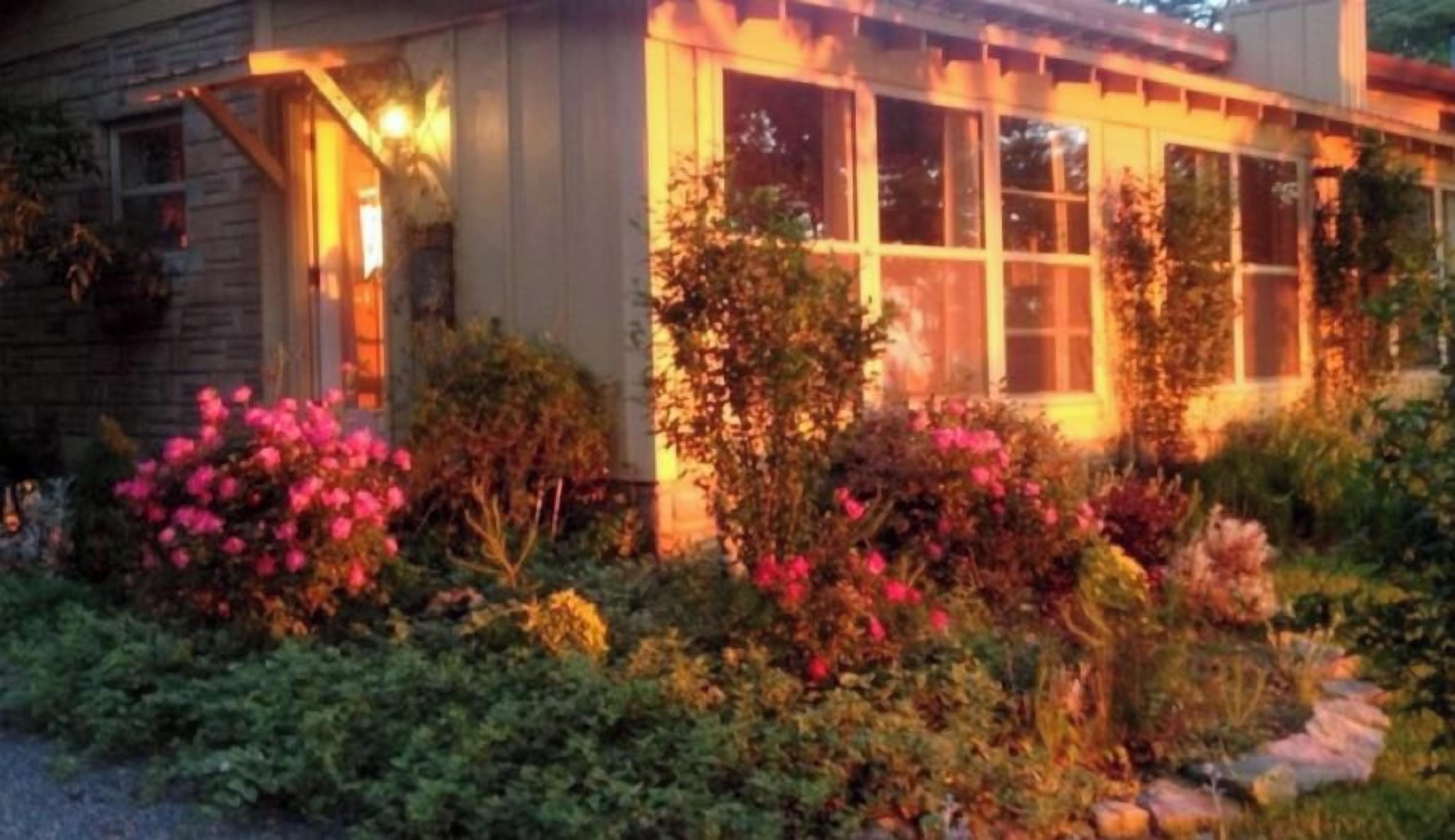 A house with a garden at dusk.