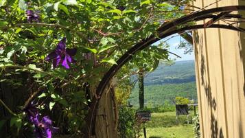 A wooden archway with a view of a green landscape and a clear sky.