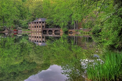 Tree Top Lodge Montreat - Architectural Retreat; Sleeps 18 with options up to 28