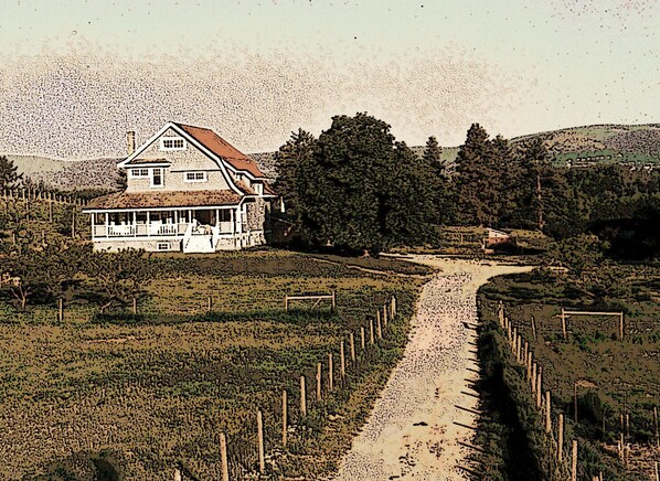 Esterni