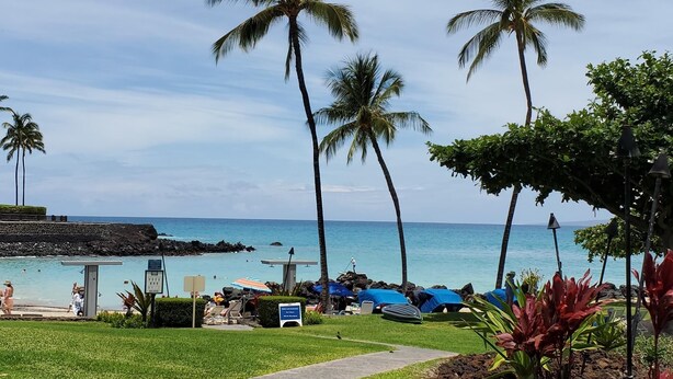 A beachside resort with palm trees, a clear view of the ocean, and a pathway leading to the beach. - Fairways 1706 - Renovated, includes Beach Access, Bikes (Kamuela)