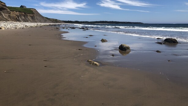 Una platja sorrenca amb roques disperses i un penya-segada amb gespa.