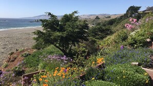 Un paisaje costero con una playa, diversas flores silvestres y un árbol en primer plano.