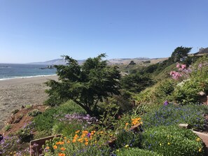 On the beach - Oceanfront - Hot Tub - Newly Remodeled Cottage  (Bodega Bay)