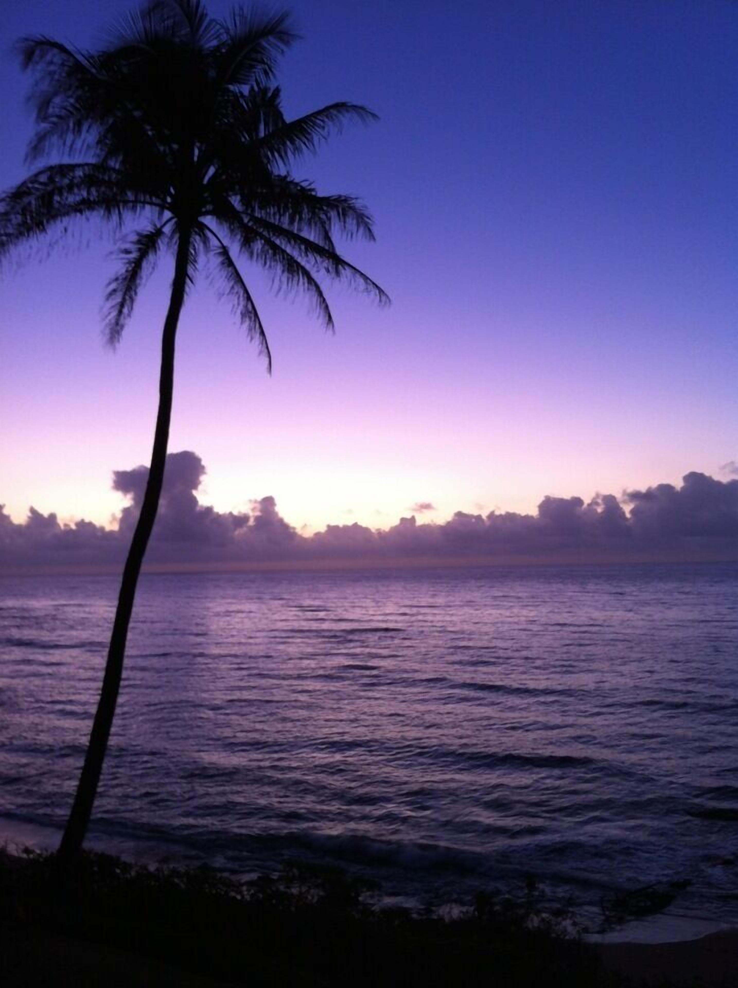 On the beach, sun loungers, beach towels