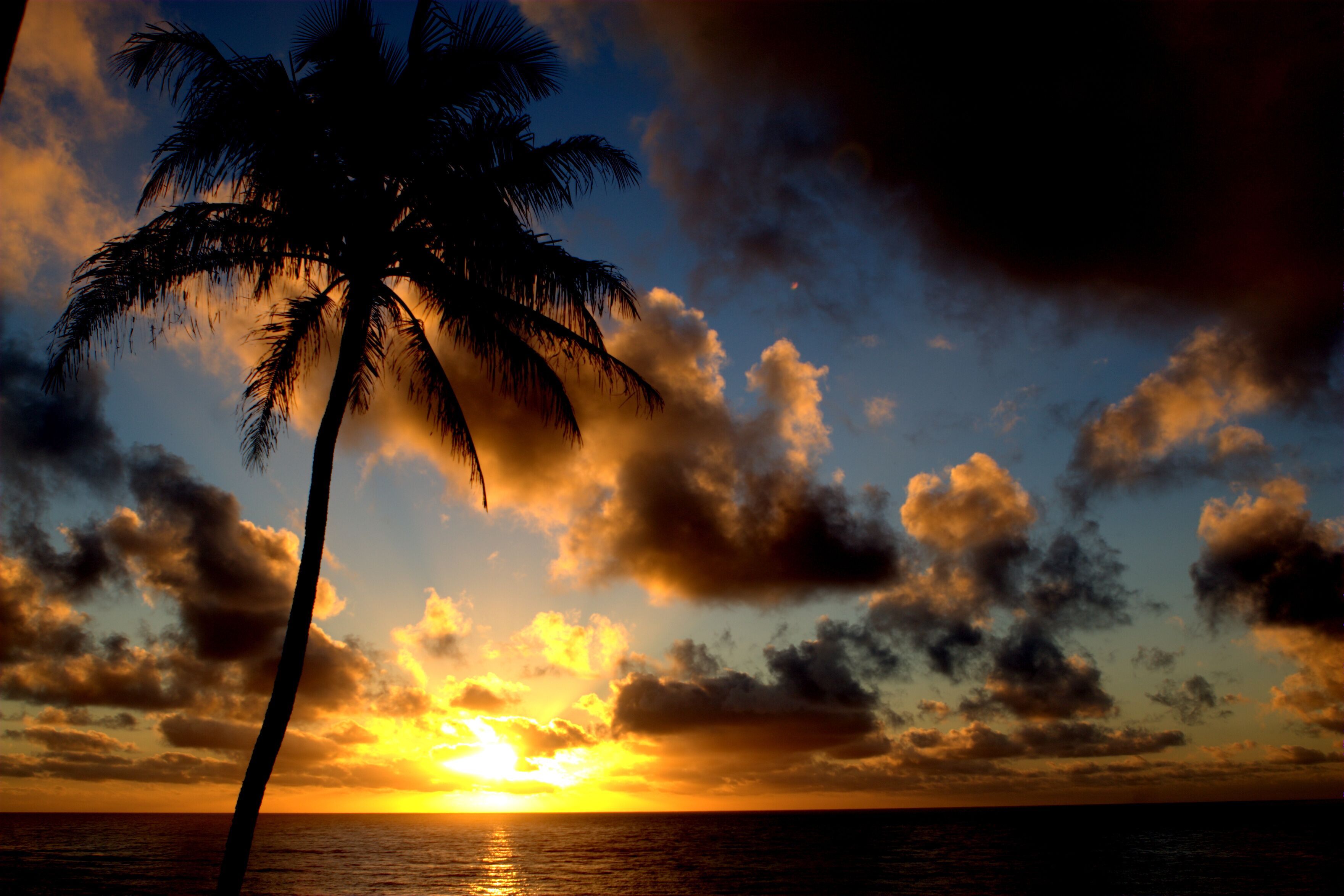 On the beach, sun loungers, beach towels