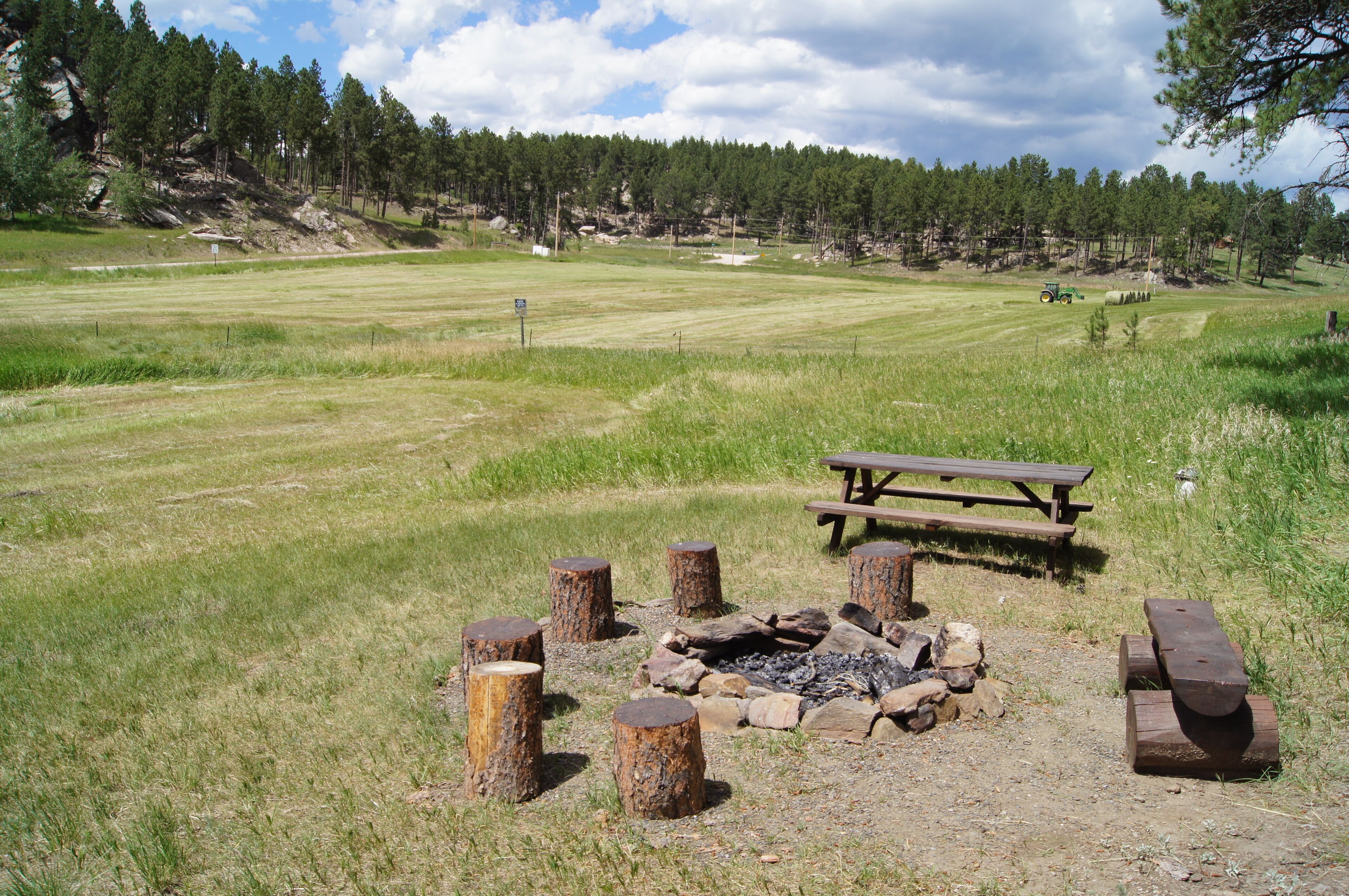 Un área de picnic con un hogar para fuego y bancos, rodeada por un campo de césped y árboles.