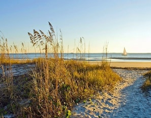 A beach path leading to the sea with tall grasses and a sailboat in the distance.