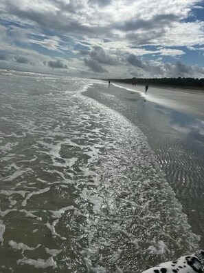 Vlak bij het strand, ligstoelen aan het strand