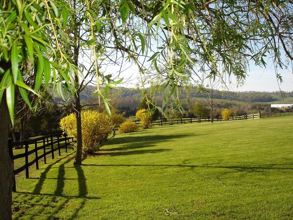 Property grounds - Servants' Cottage on 600 Acre Working Horse/Cattle Estate (Gordonsville)