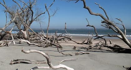 Adorable Cottage Folly Beach! 1 cuadra de la playa! Super Location! ¡Wi-Fi gratis!