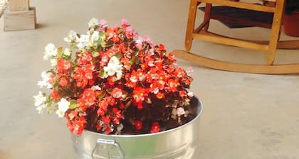 Romantic Luxury Log Cabin- Guest House *Wine and Hot Tub for 2