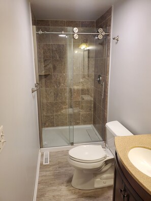Combined shower/bathtub, hair dryer