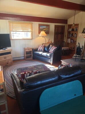 Flat-screen TV, fireplace, DVD player, books