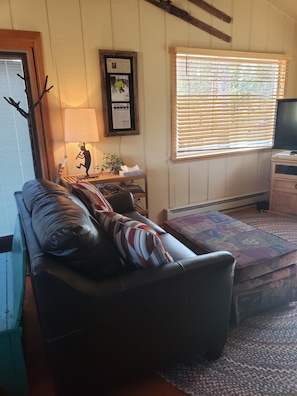 Flat-screen TV, fireplace, DVD player, books