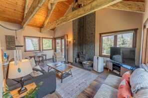 Smart TV, fireplace, DVD player, books - 2BR 2BA In Town, Walkable, Pet-Friendly, Fireplace, Views! (Crested Butte)