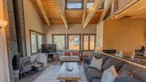 A cozy living room with a fireplace, a television, and comfortable seating. - 2BR 2BA In Town, Walkable, Pet-Friendly, Fireplace, Views! (Crested Butte)