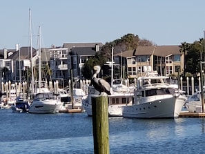 A waterfront marina with boats docked and a bird perched on a wooden post. - Charming family vacation cottage, close to the beach on Isle of Palms.  (Isle of Palms)