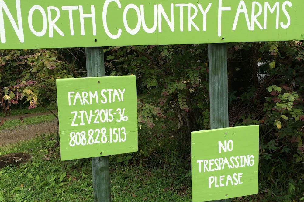 Farm Stay Cottage on Organic Farm