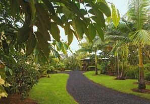 A pathway leading to a building surrounded by lush greenery and palm trees. - Secluded garden bungalow in the jungle with air conditioning. (Keaau)