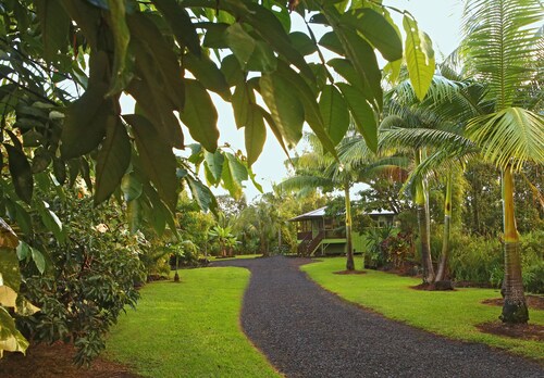 Secluded garden bungalow in the jungle 