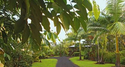 Secluded garden bungalow in the jungle