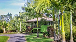 A green house with a porch and a staircase leading to the entrance. - Secluded garden bungalow in the jungle with air conditioning. (Keaau)