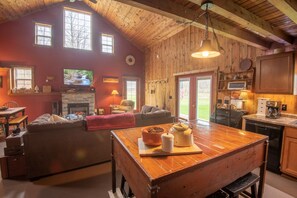 TV, fireplace, DVD player, books