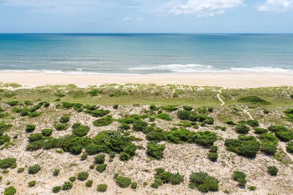 A beach with a sandy shore and green vegetation in the foreground. - Oceanfront Dog Friendly Home with Pool, Hot Tub, EV Charger, and Home Theater (Salvo)
