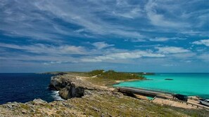 Toallas de playa 