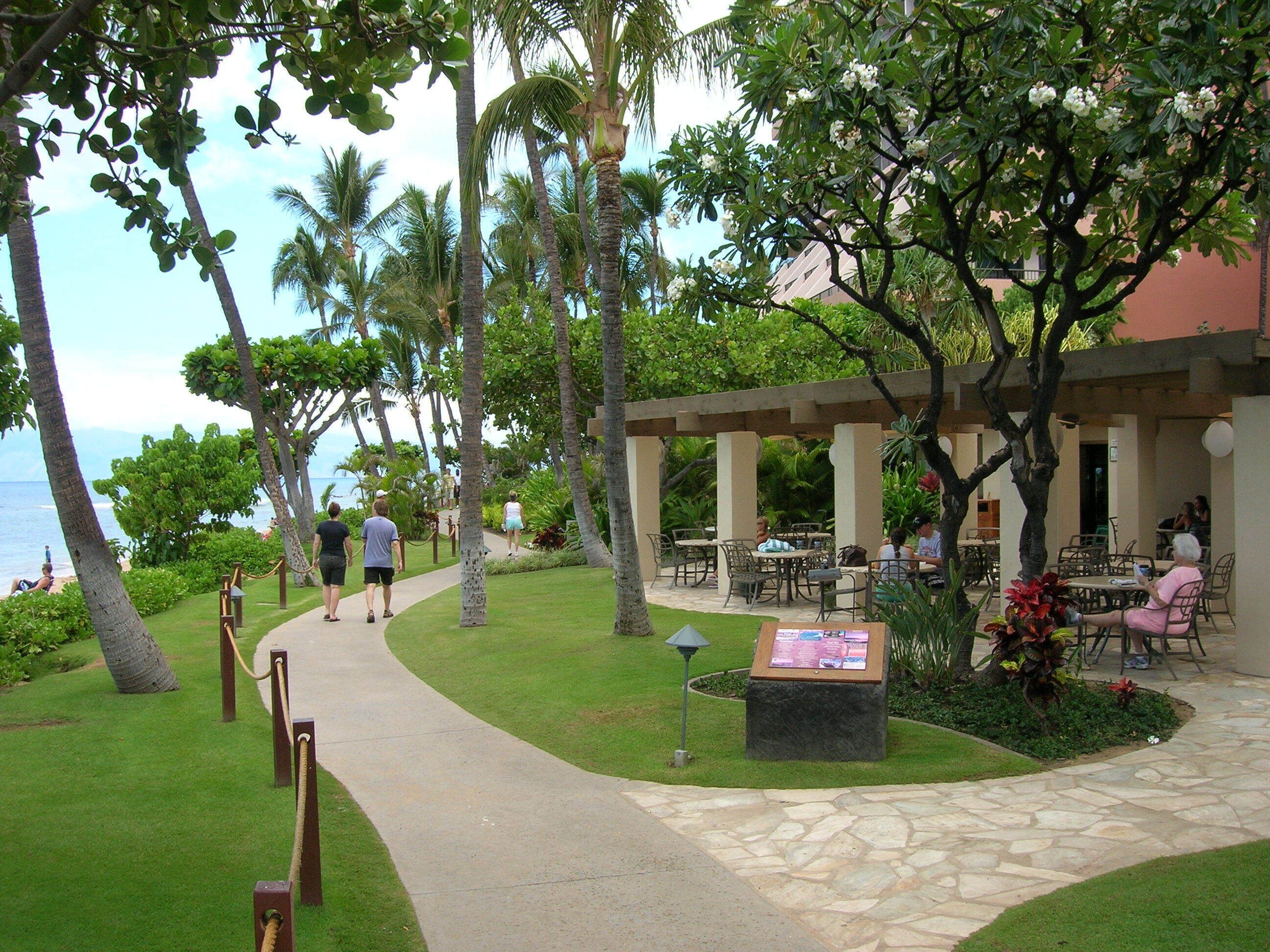 Ocean Front 3 bedroom Villa - sleeps 12