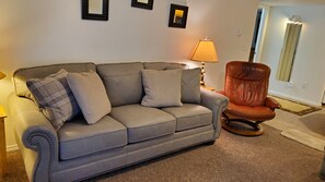 Smart TV, chimenea, reproductor de DVD y libros 